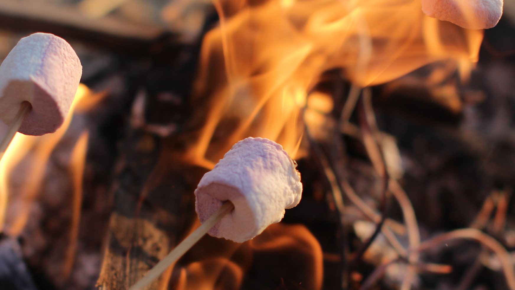 marshmallows marshmallows