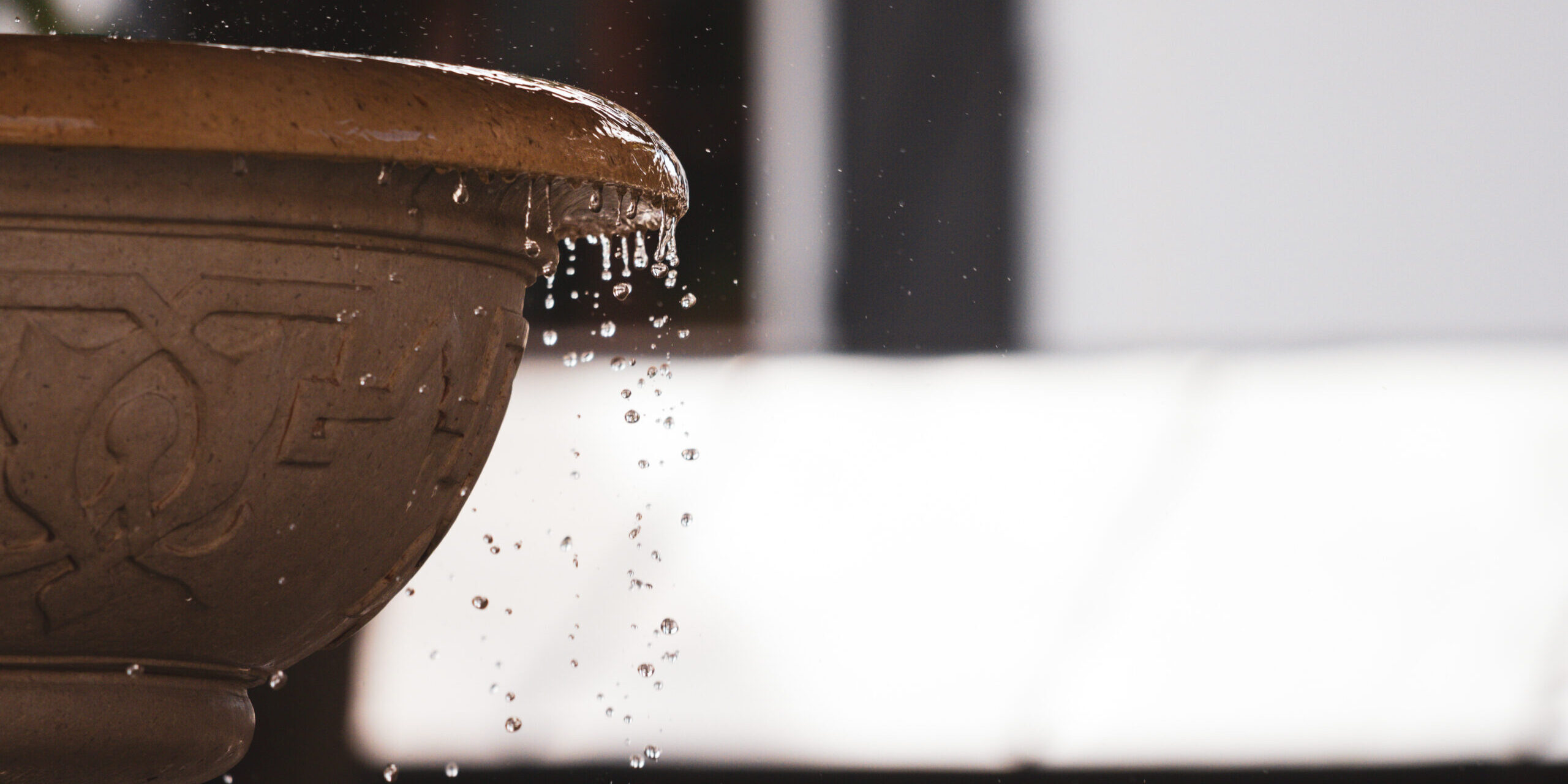 water-drops-on-the-edge-of-the-fountain-2025-03-09-20-54-50-utc water-drops-on-the-edge-of-the-fountain-2025-03-09-20-54-50-utc